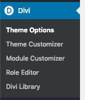 Page Generator Pro: Page Builders: Divi Theme: Theme Options