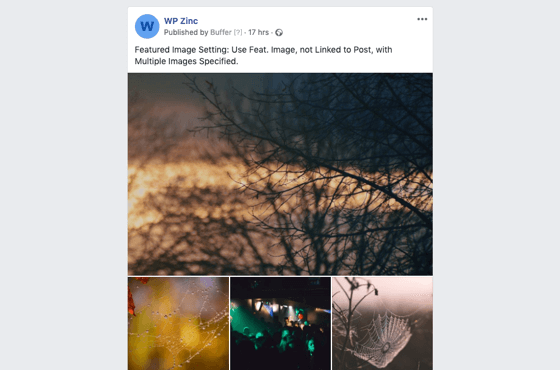 WordPress to SocialPilot Pro: Multiple Images