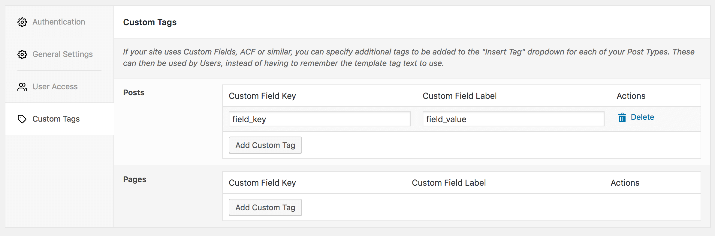 WordPress to SocialPilot Pro: Settings: Custom Tags