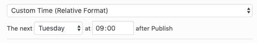 WordPress to Hootsuite Pro: Status Settings: Scheduling Options: Custom Time (Relative)