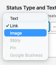WordPress to Buffer Pro: Status: Type