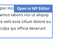 Page Generator Pro: Generate: Content: Live Composer: Text Element: Open in WP Editor