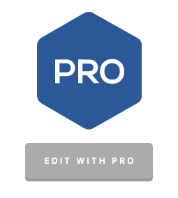 Page Generator Pro: Page Builders Integration: Pro Theme: Edit with Pro
