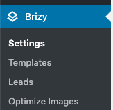 Page Generator Pro: Page Builders: Brizy: Settings Menu