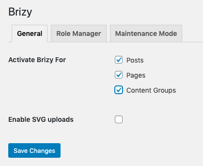 Page Generator Pro: Page Builders: Brizy: Settings