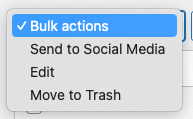 WordPress to Buffer Pro: Bulk Publish: Bulk Actions