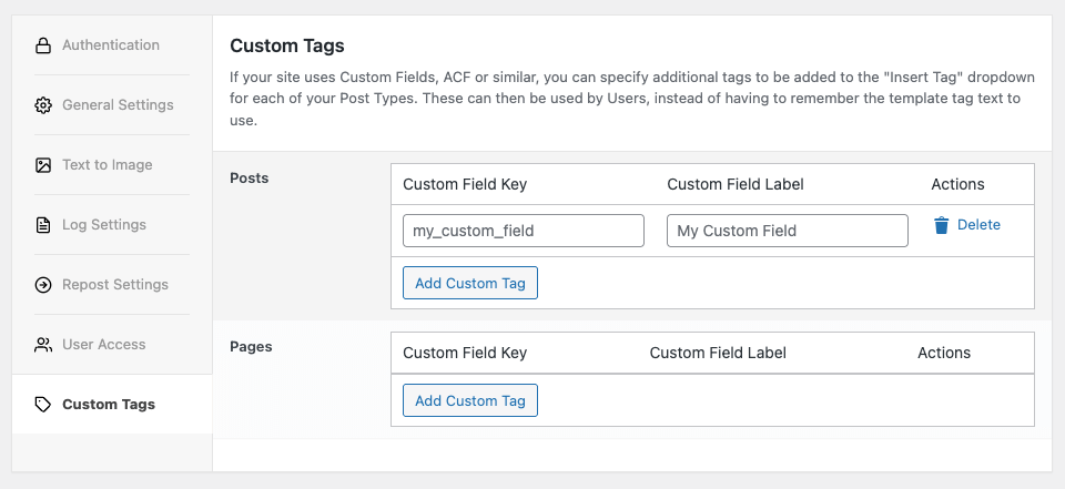 WordPress to Buffer Pro: Custom Tags