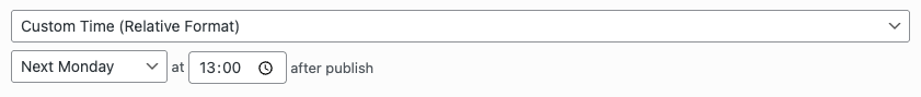WordPress to Buffer Pro: Status: Scheduling Options: Custom Time: Relative Format