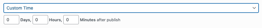WordPress to Buffer Pro: Status: Scheduling Options: Custom Time