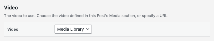 WordPress to Buffer Pro: Status: Video